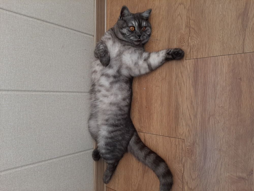 Photograph by Олеся Резникова