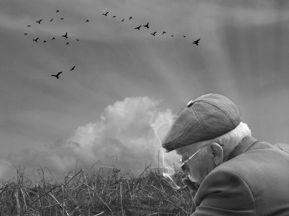 Photograph by Mozhgan Sadeghi