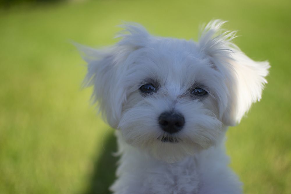 Photograph by Наталья Трусова