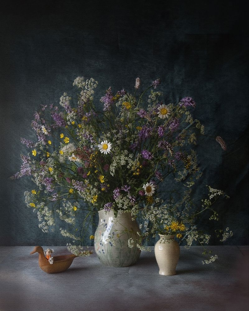 Полевые цветы. Июнь.