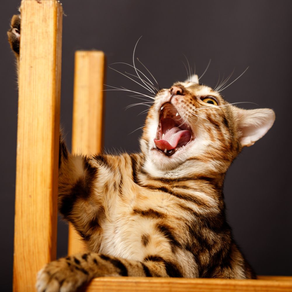 Photograph by Илья Юфа