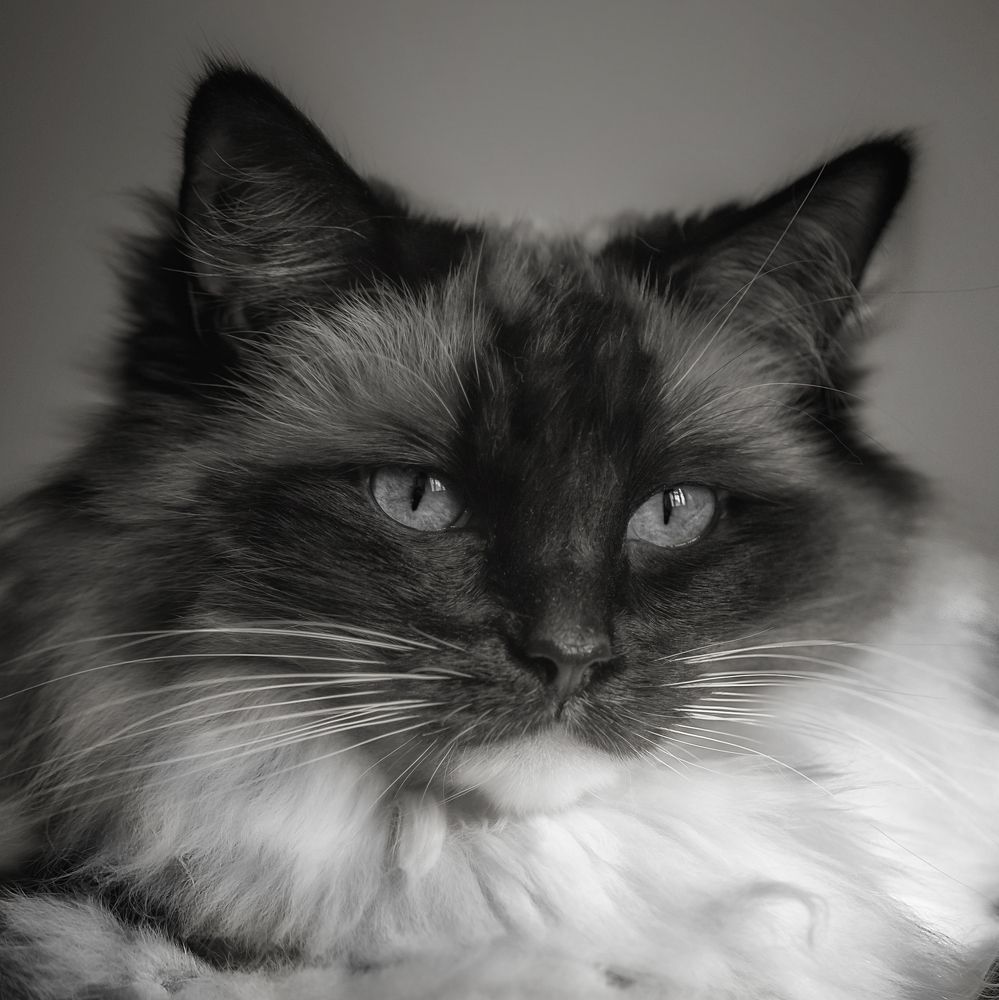 Фотография автора Natalja Bindere