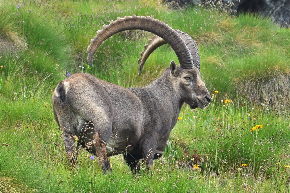 Photograph by Александр Штифман