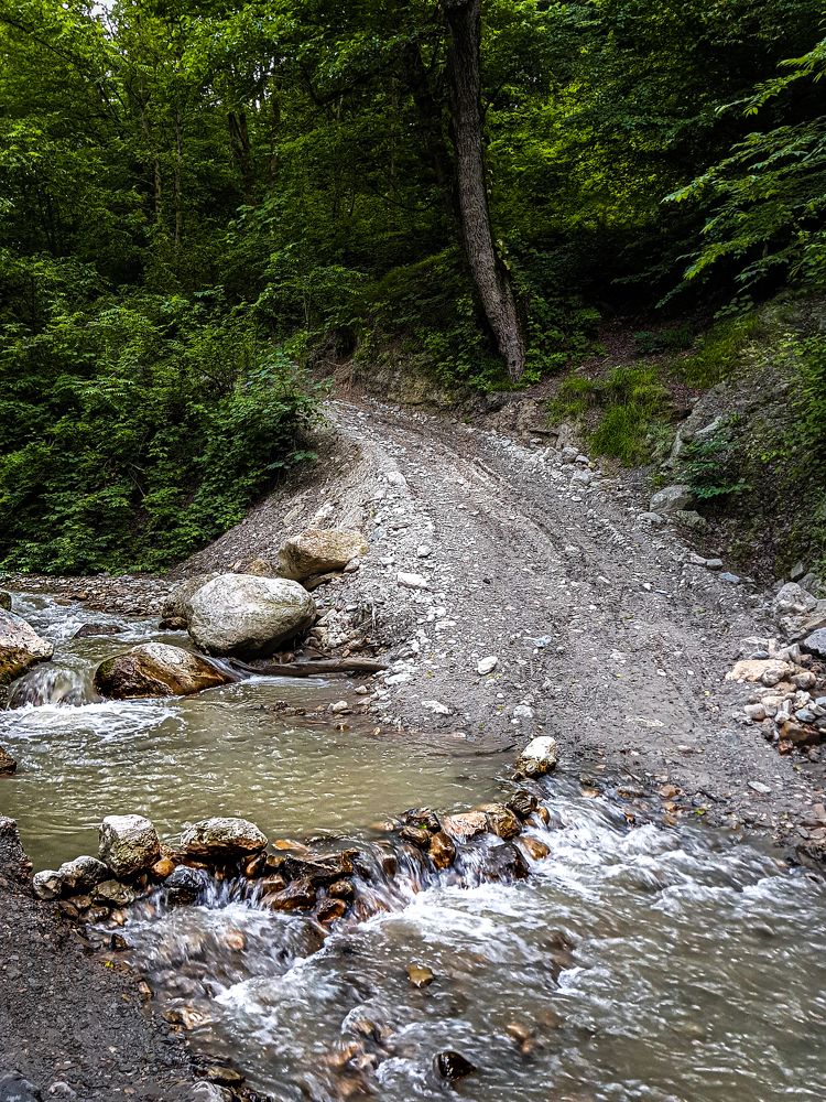 Фотография автора Nima Nezafat Yazdi