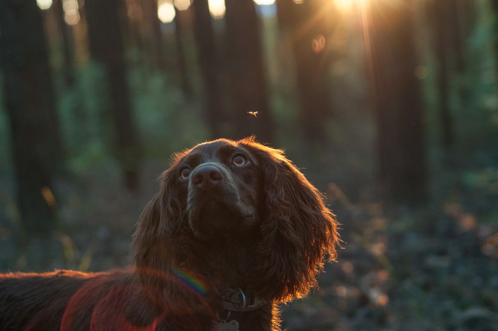 Photograph by Динара Зуйкова
