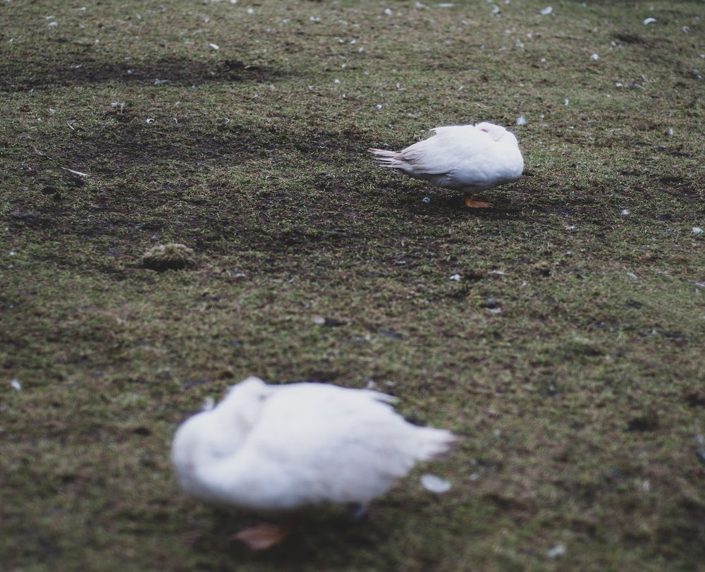 Зима близко