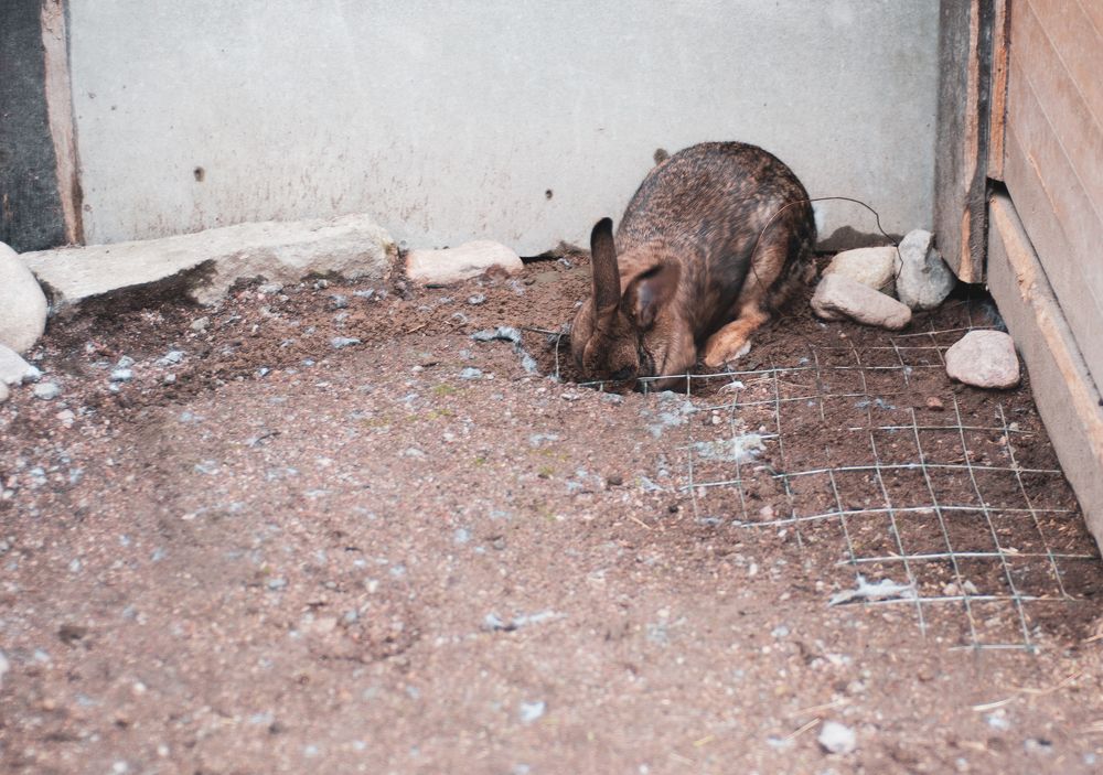 Побег. Начало