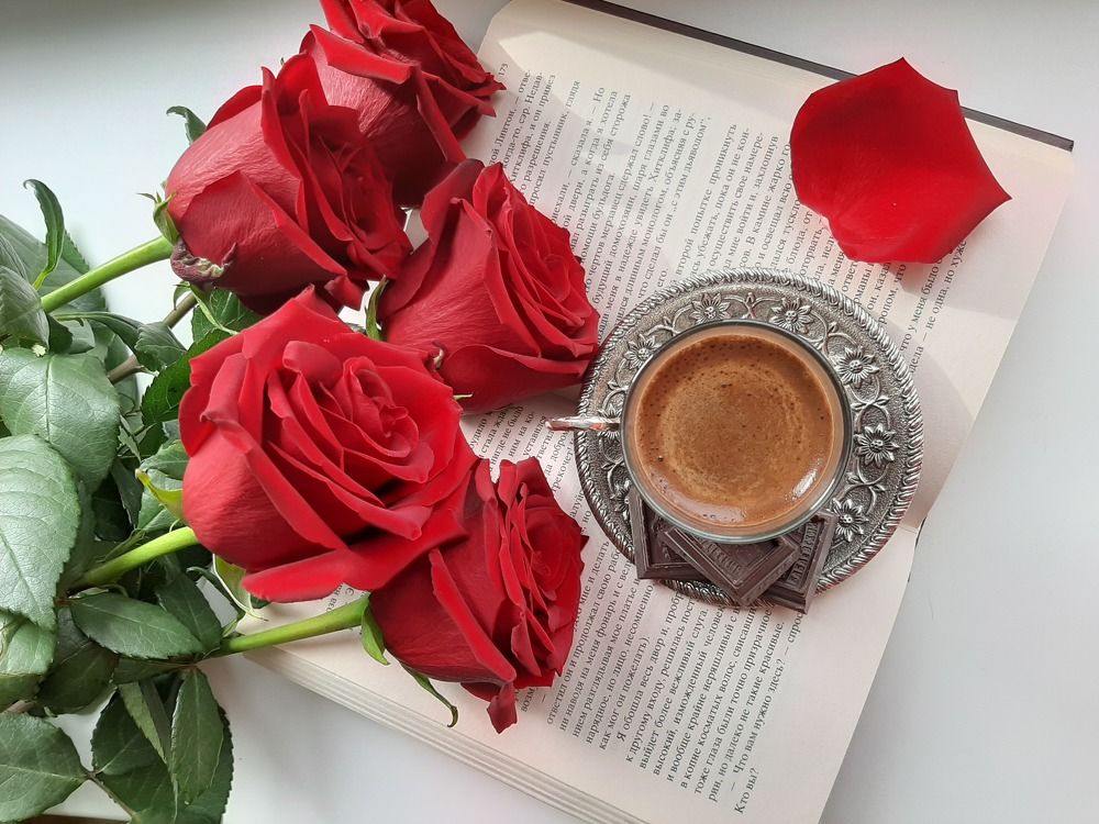 Photograph by Олеся Резникова