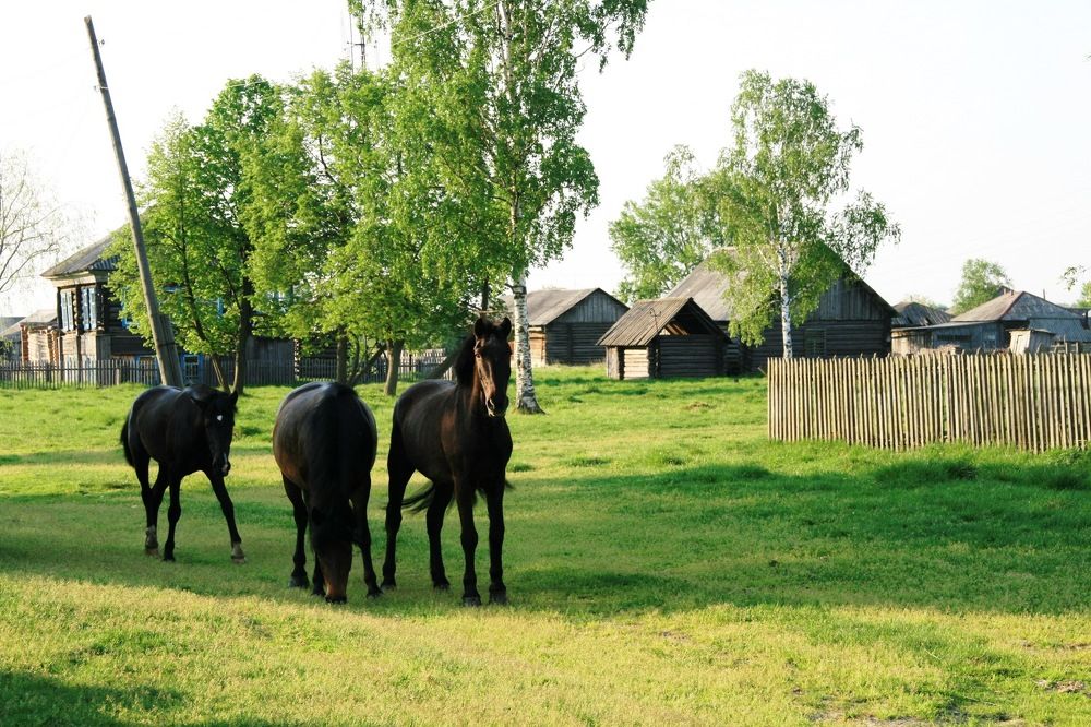 Photograph by Андрей Елькин