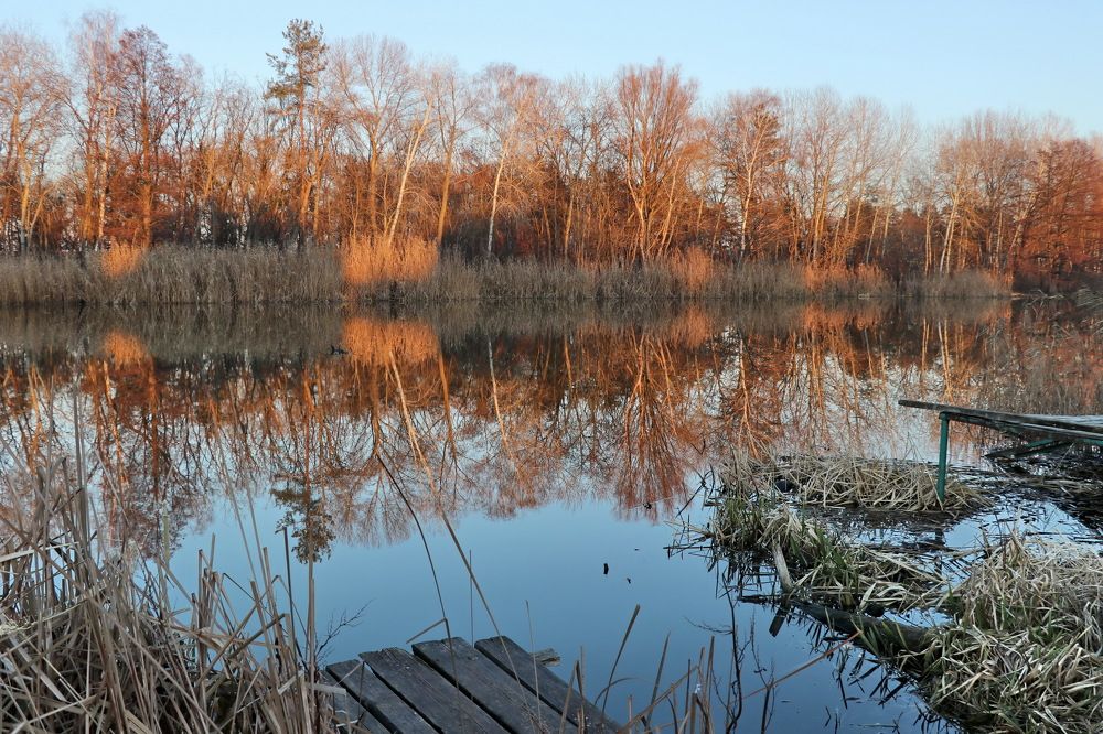 Photograph by Владимир Подкуйко