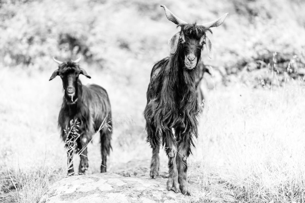 Photograph by Jose Luis Mendez Fernandez