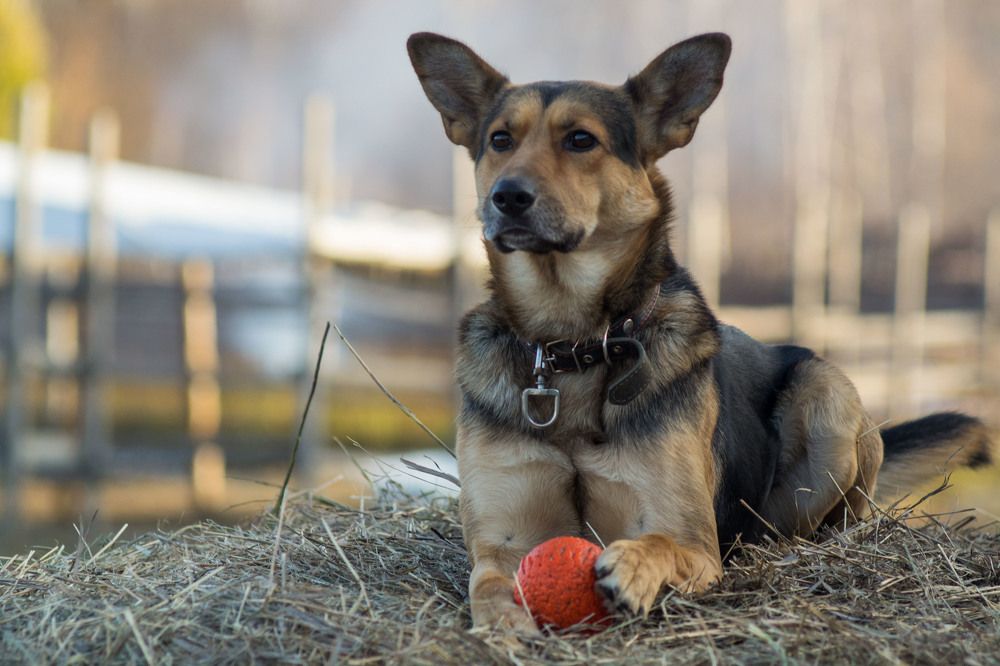 Photograph by Евгения Антропова