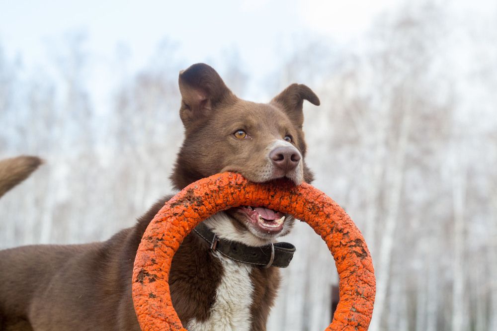 Photograph by Евгения Антропова