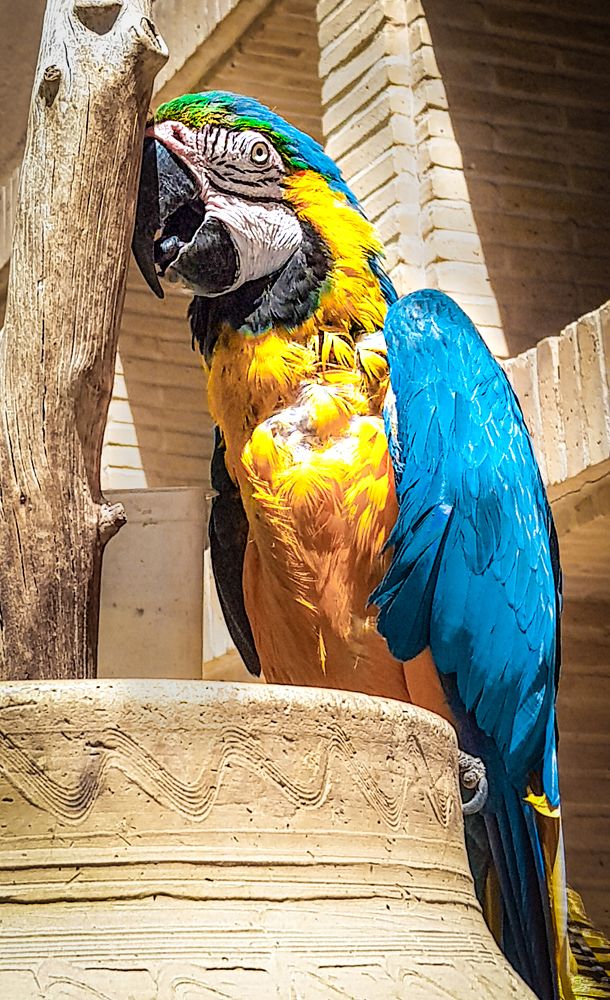 Фотография автора Nima Nezafat Yazdi