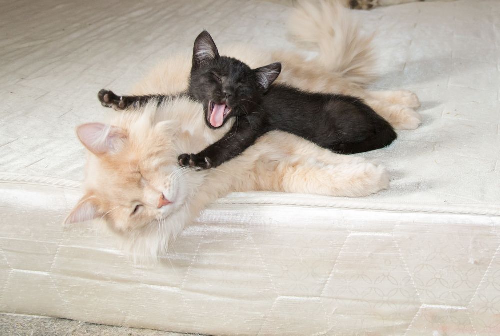 Photograph by Евгения Антропова