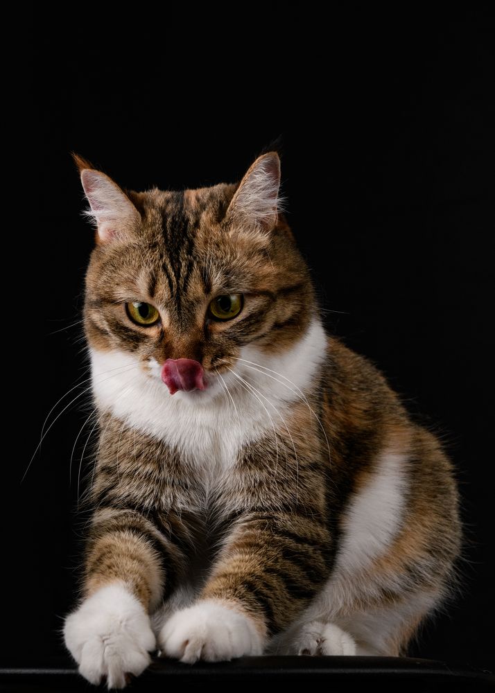 Photograph by Евгений Некрошевич