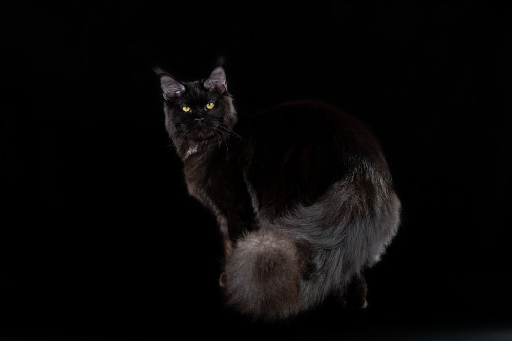 Photograph by Альбина Рычкова