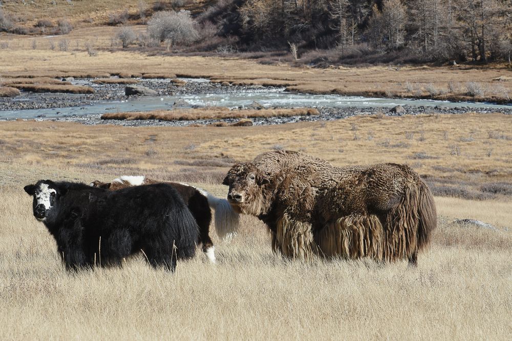 Photograph by Галина