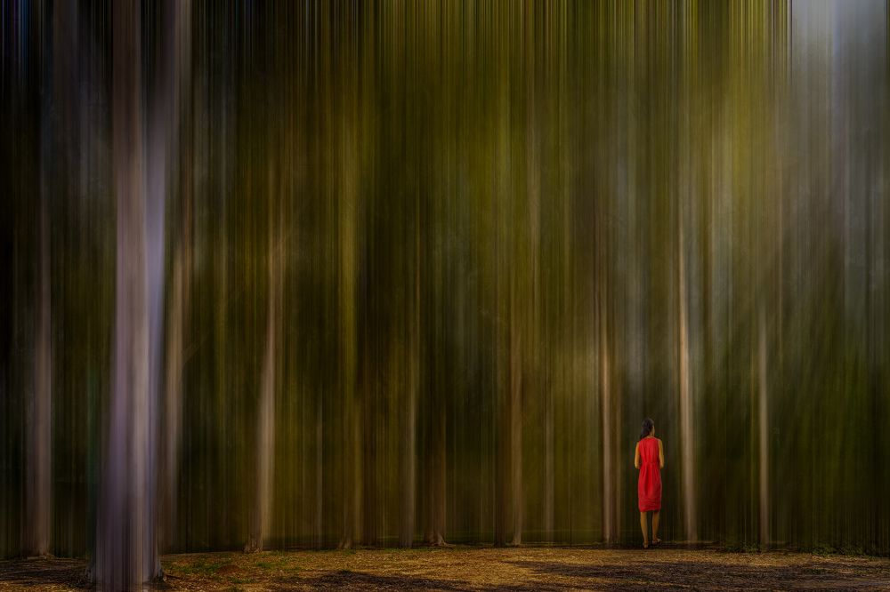 Photograph by Gabriella Halperin