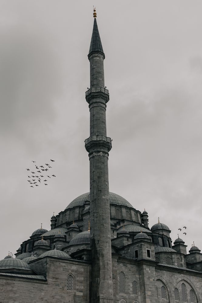 Фотография автора sobhan joodi