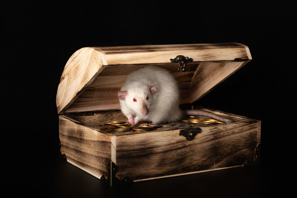 Photograph by Альбина Рычкова