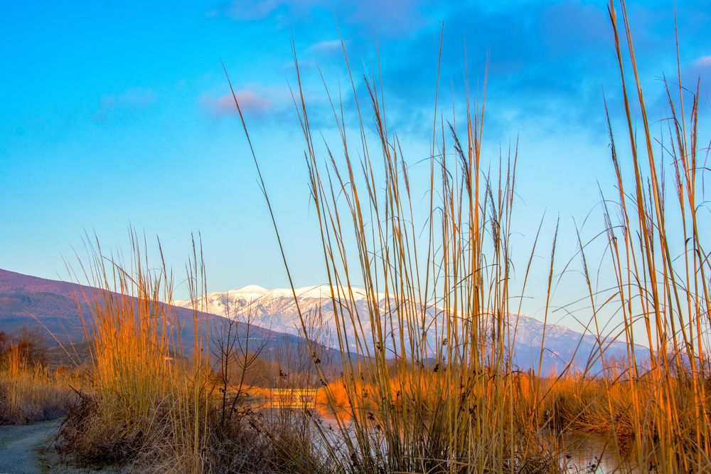 Photograph by АЛЛА ЗВЯГИНА