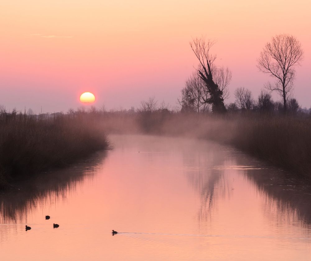 Photograph by АЛЛА ЗВЯГИНА