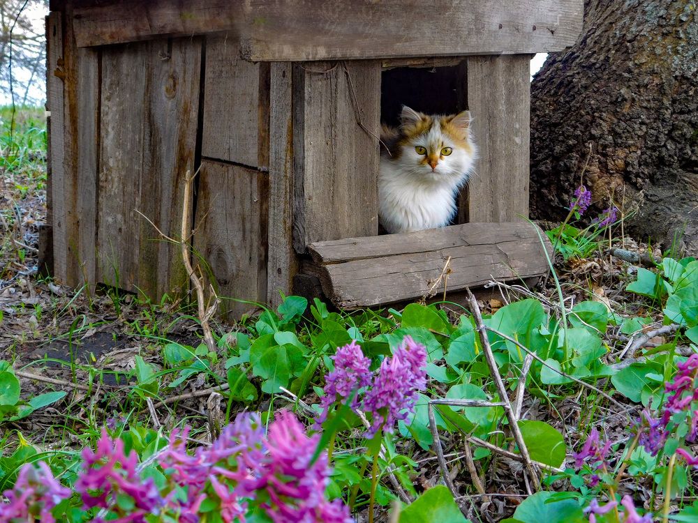 Photograph by Андрей Семенченко