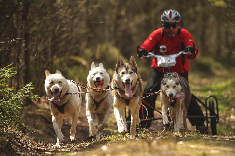 Photograph by Danas Ryženinas