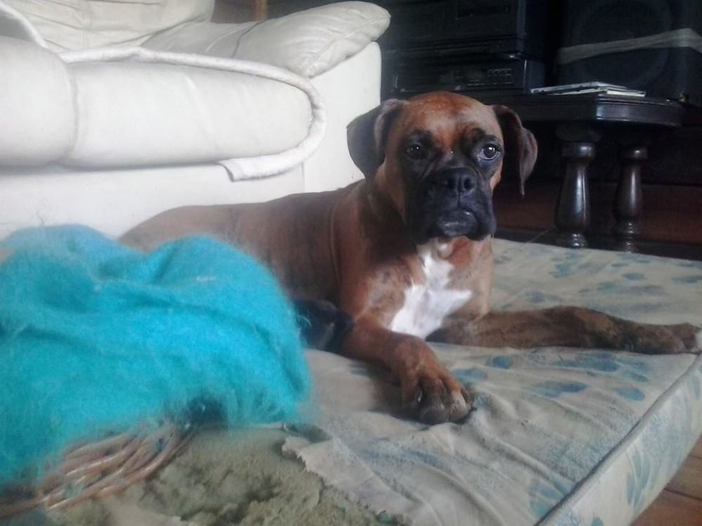 Photograph by Elza Bento de Oliveira Dotti