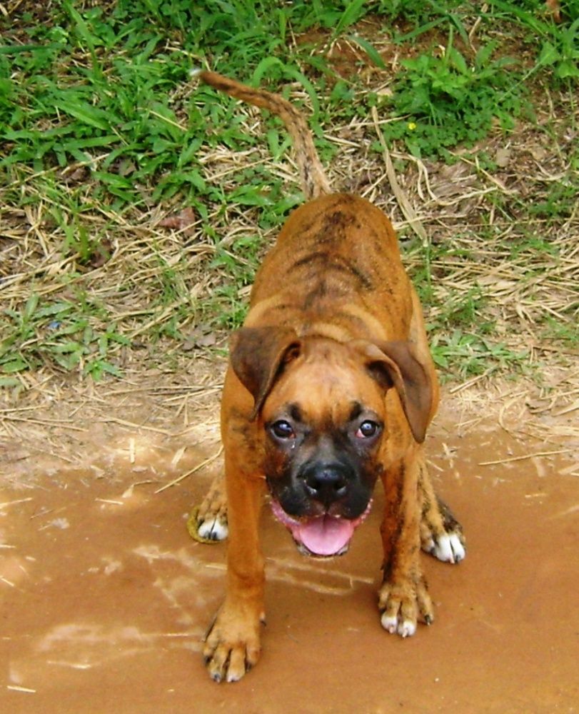 Photograph by Elza Bento de Oliveira Dotti