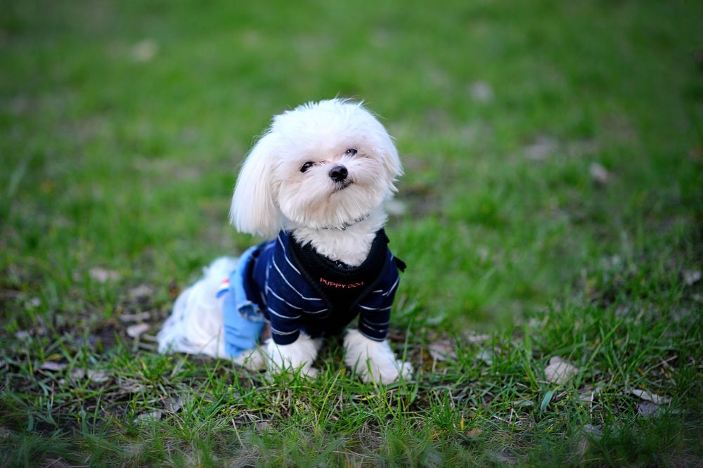 Photograph by Виктория Гарькавенко