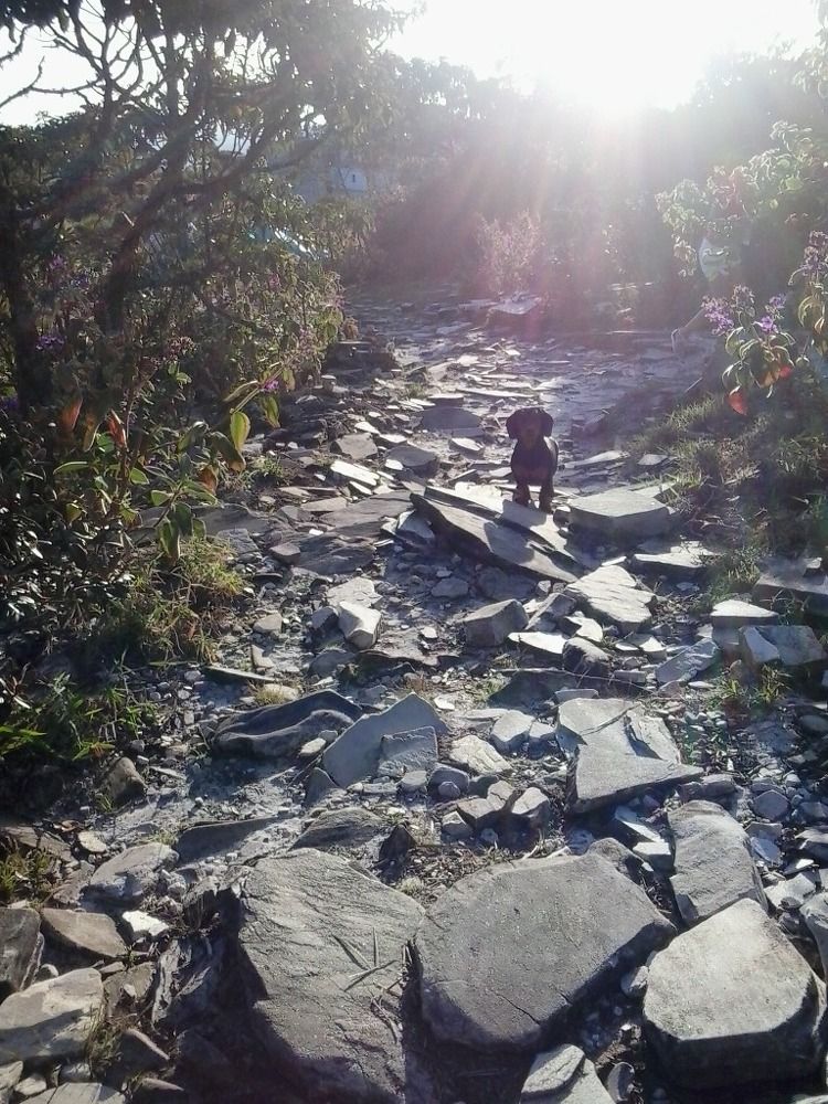 Photograph by Elza Bento de Oliveira Dotti