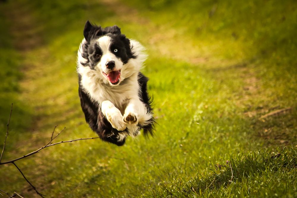 Фотография автора Andrej Levius