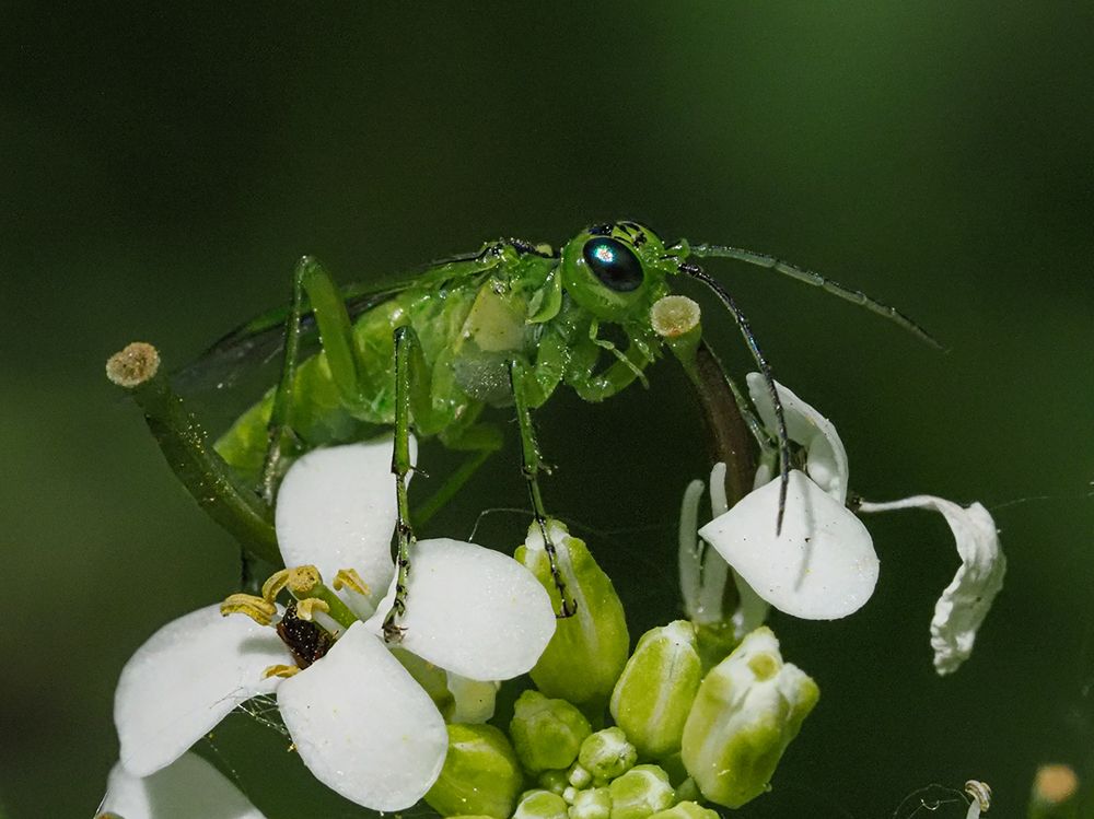 Photograph by Сергей Духанин