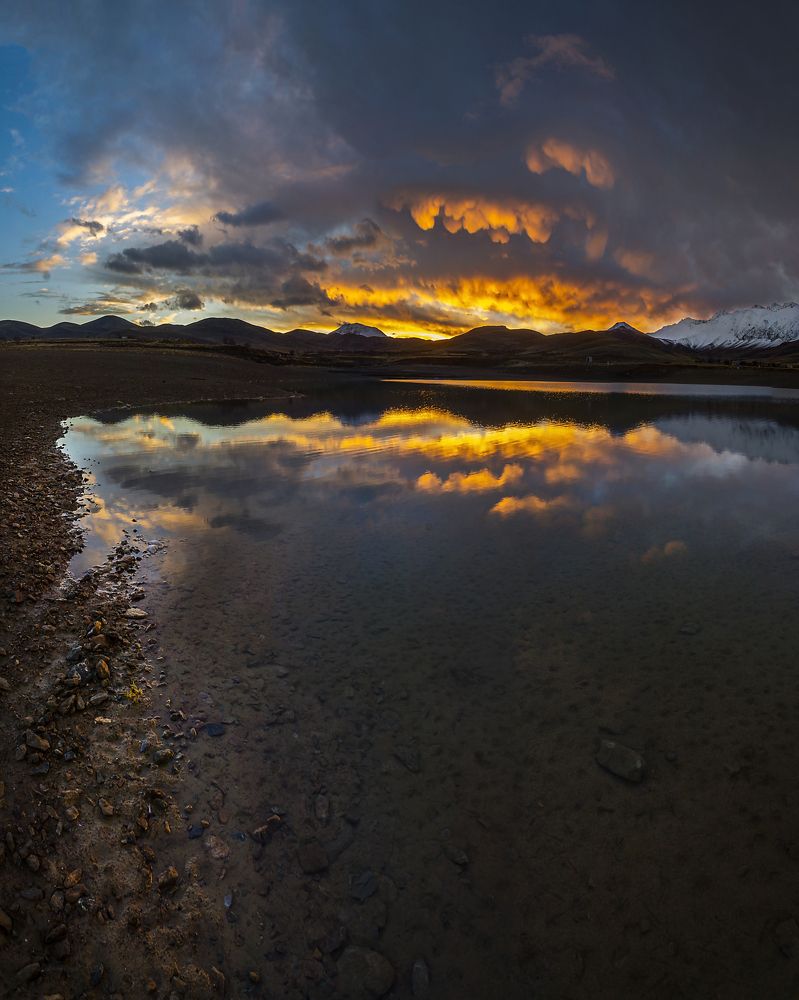 Фотография автора majid arab