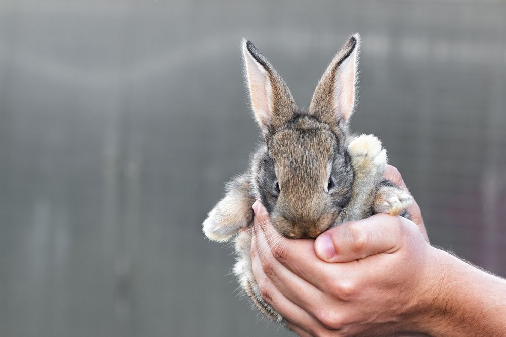 Photograph by Людмила Гудина