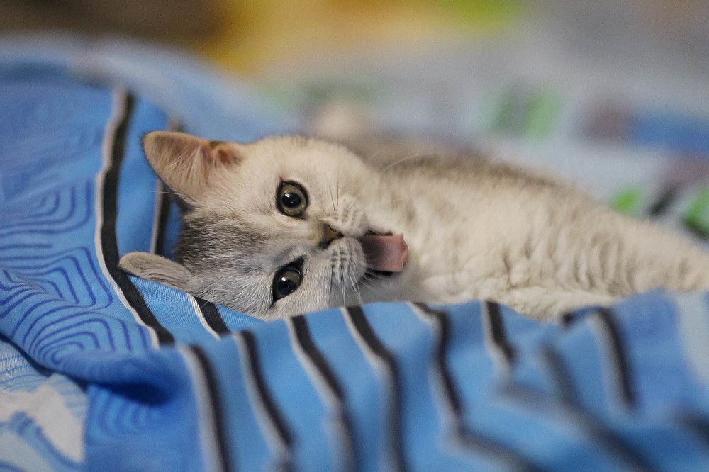 Почти Эйнштейн !