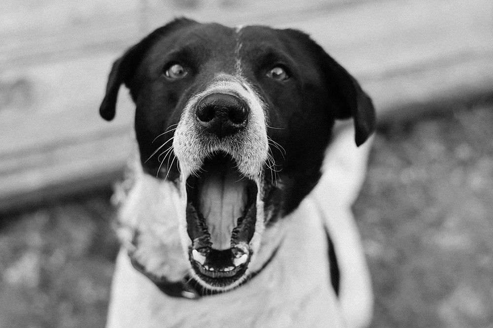 Старичок мой