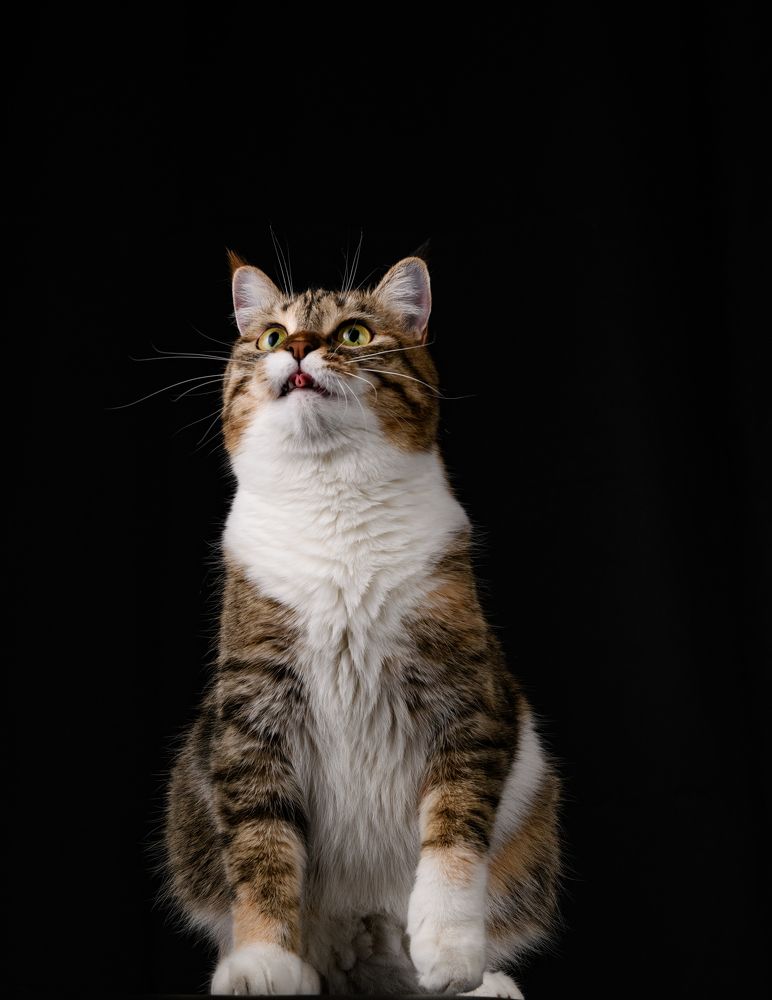 Photograph by Евгений Некрошевич