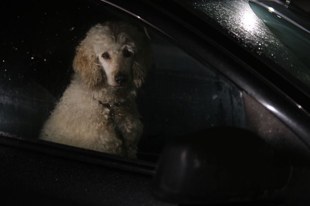 Photograph by Hanna Zapylaieva