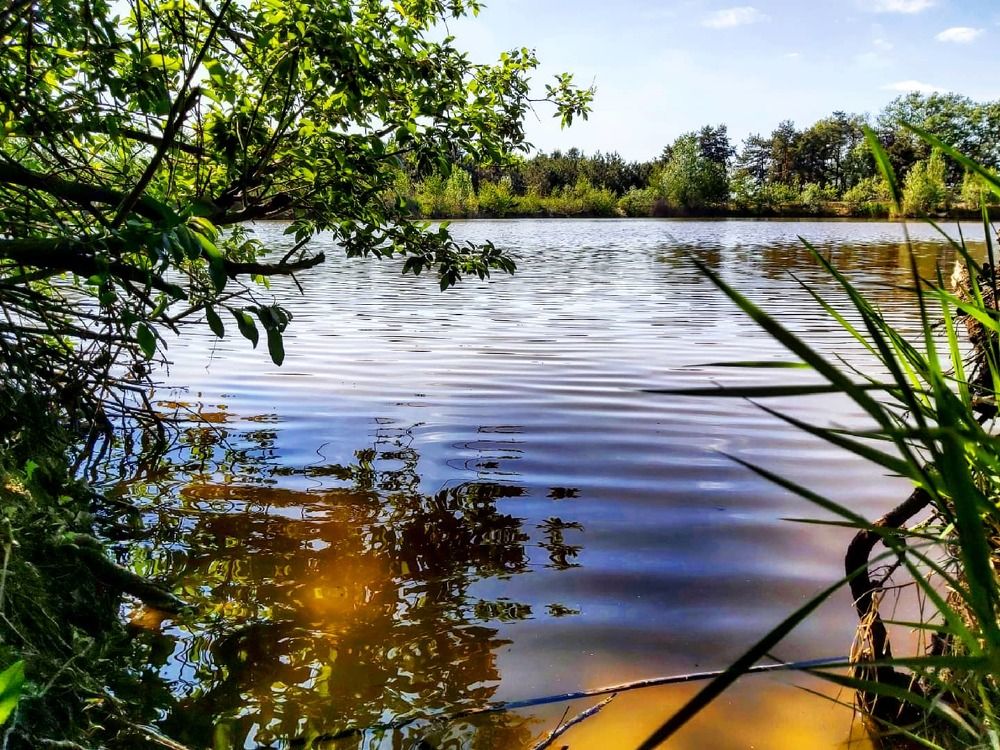 Photograph by Оксана Боднарчук