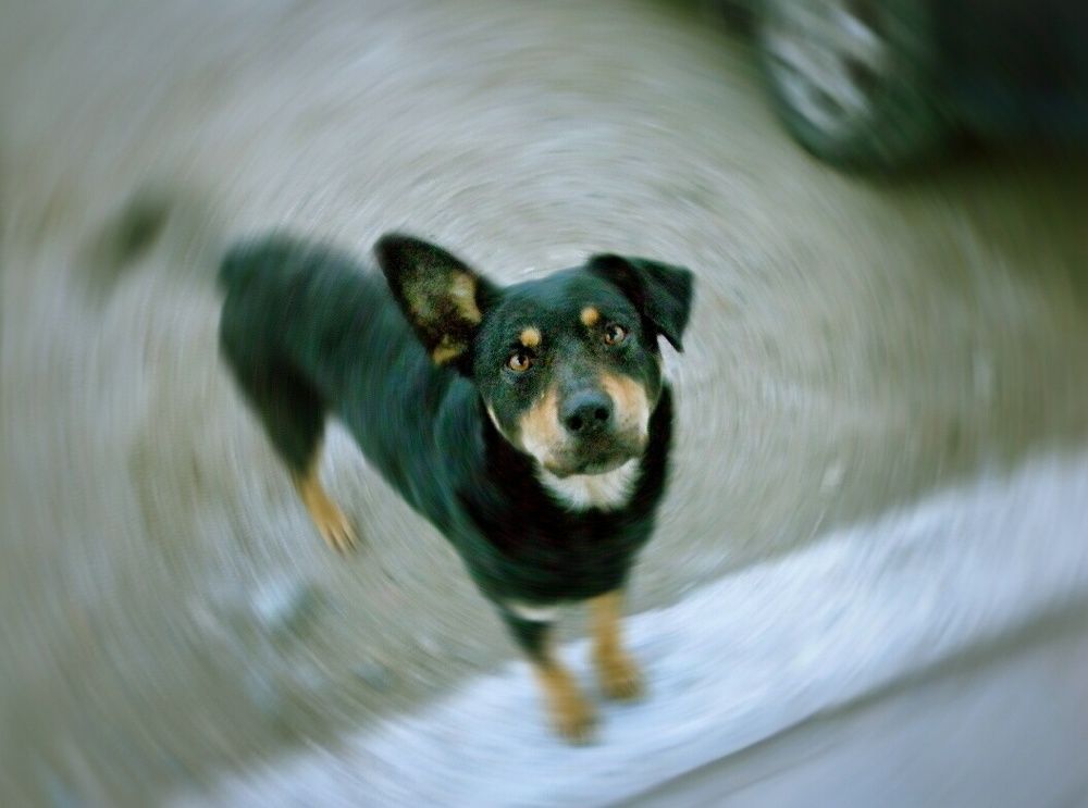 Photograph by Алла Холодова