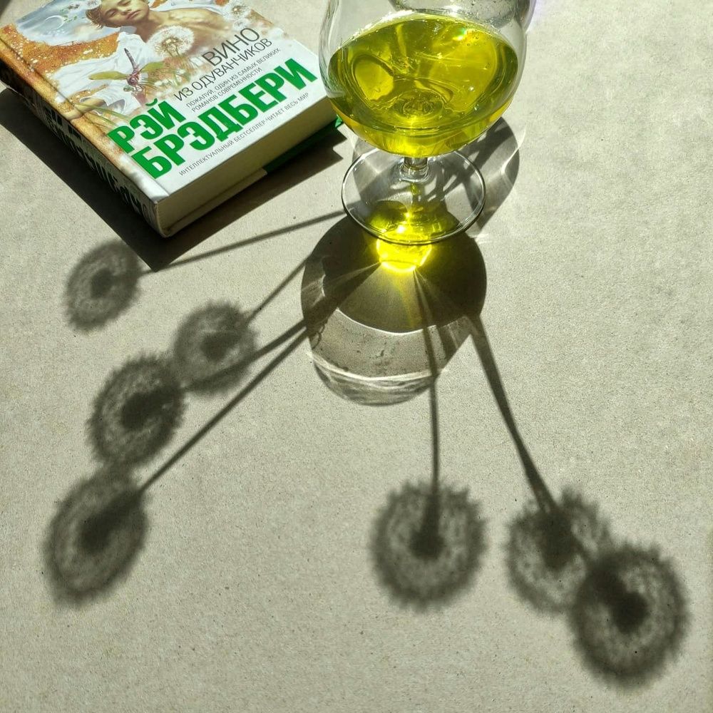 Photograph by Светлана Холодова