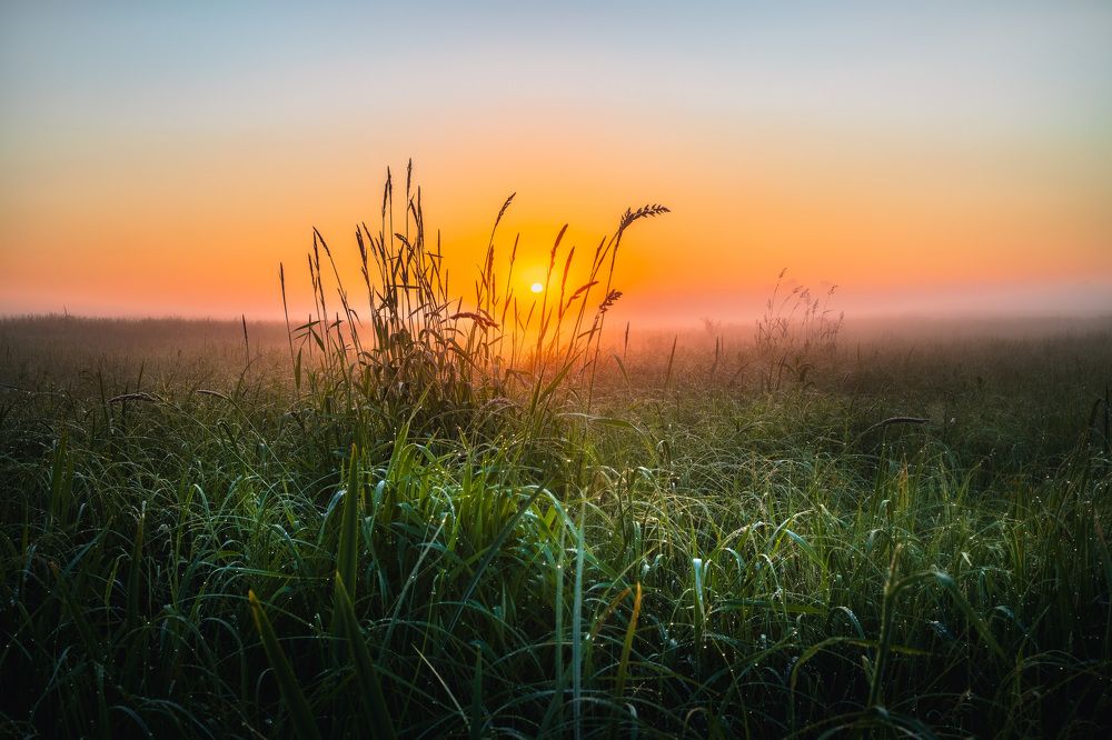 Туманный рассвет