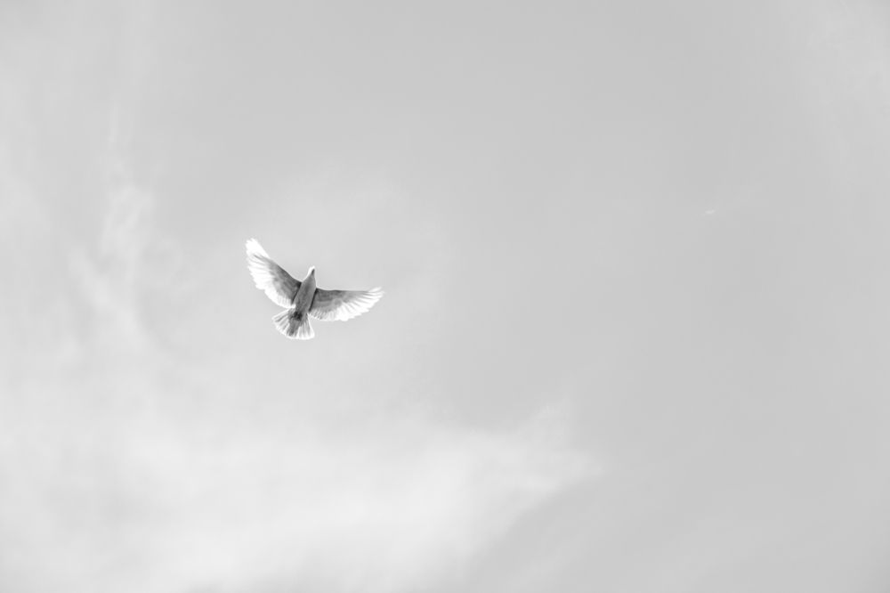 Photograph by Богдан Тарасов