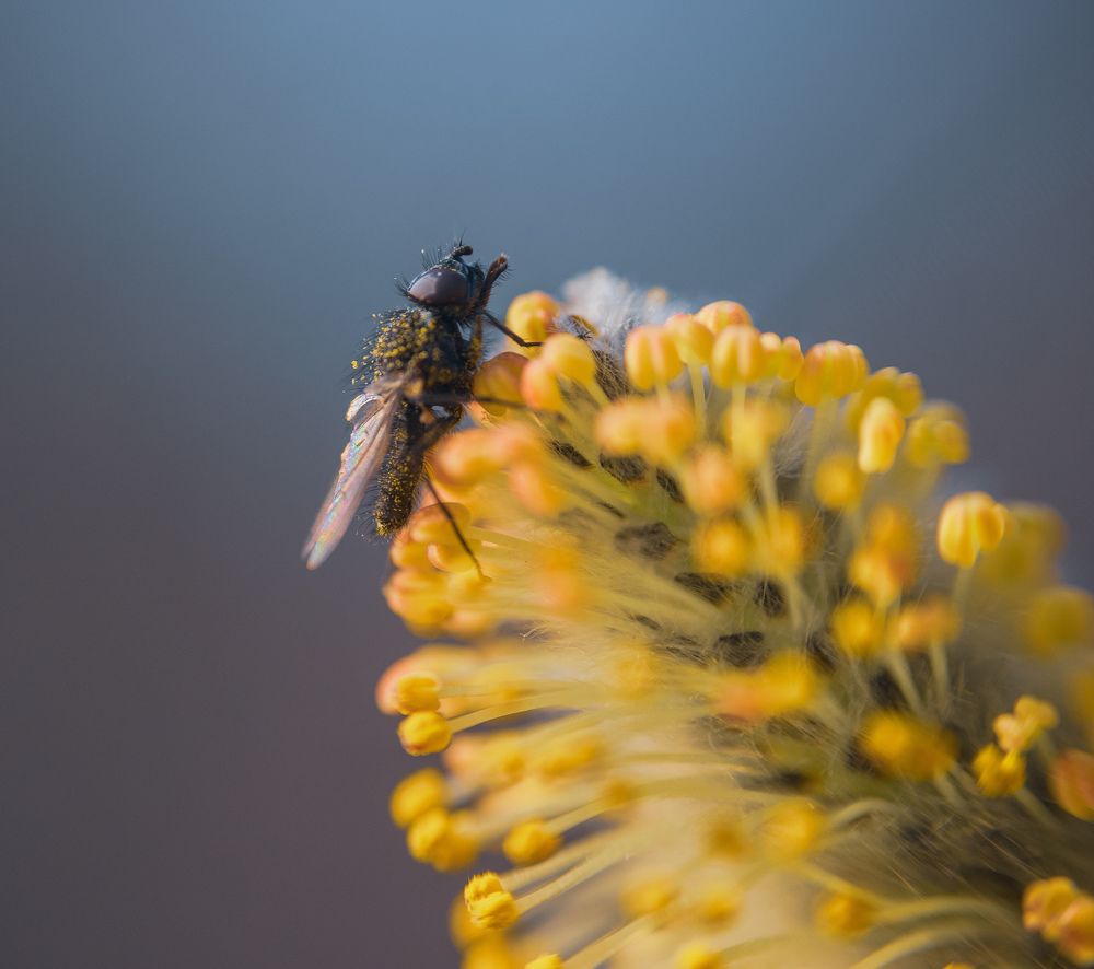 Photograph by Марина Гаврилова