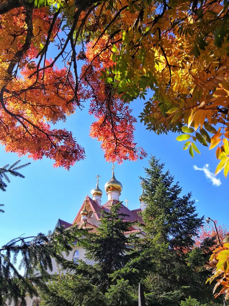 Photograph by Наина Касаева