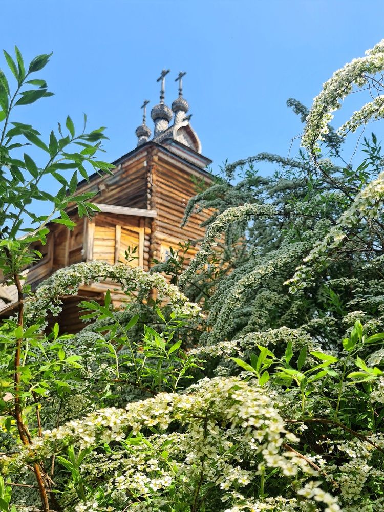 Photograph by Наина Касаева