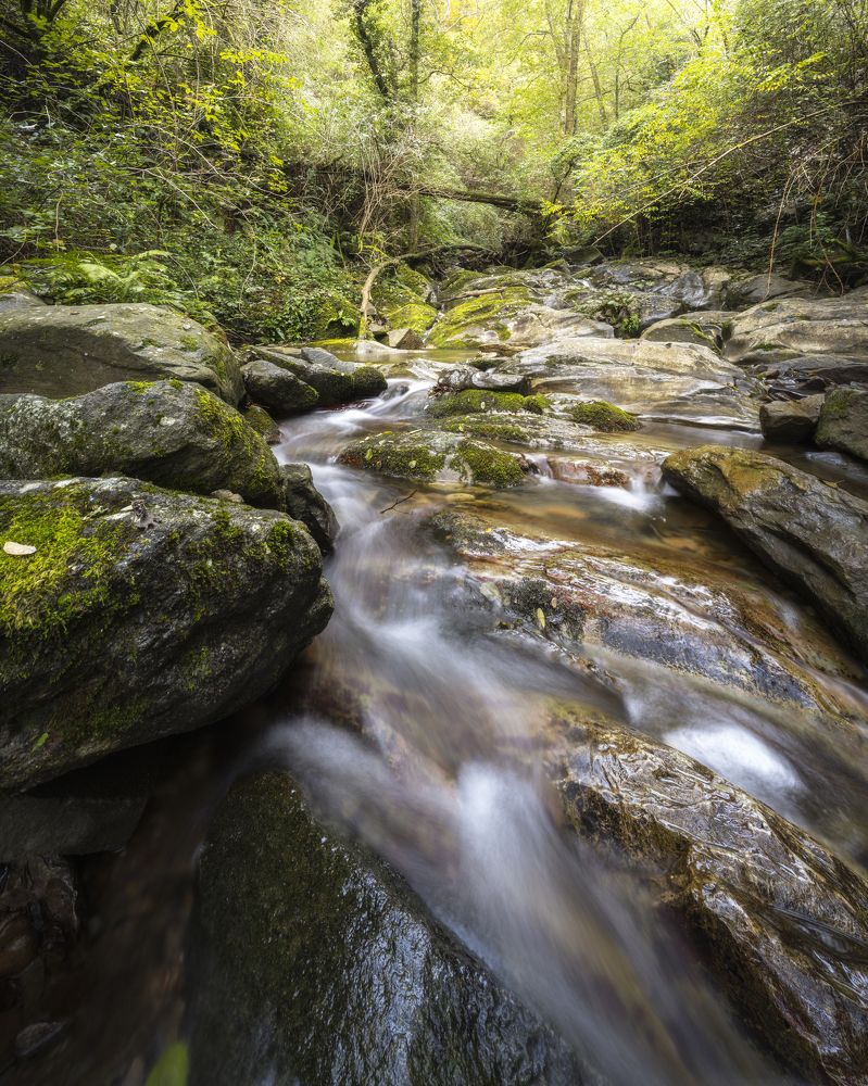 Photograph by Giovanni Laudicina